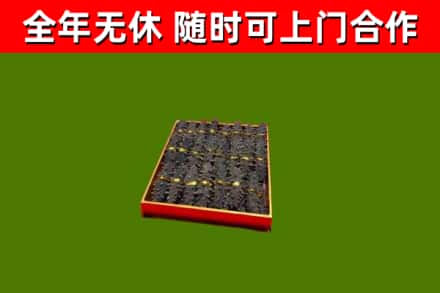 南江回收海参